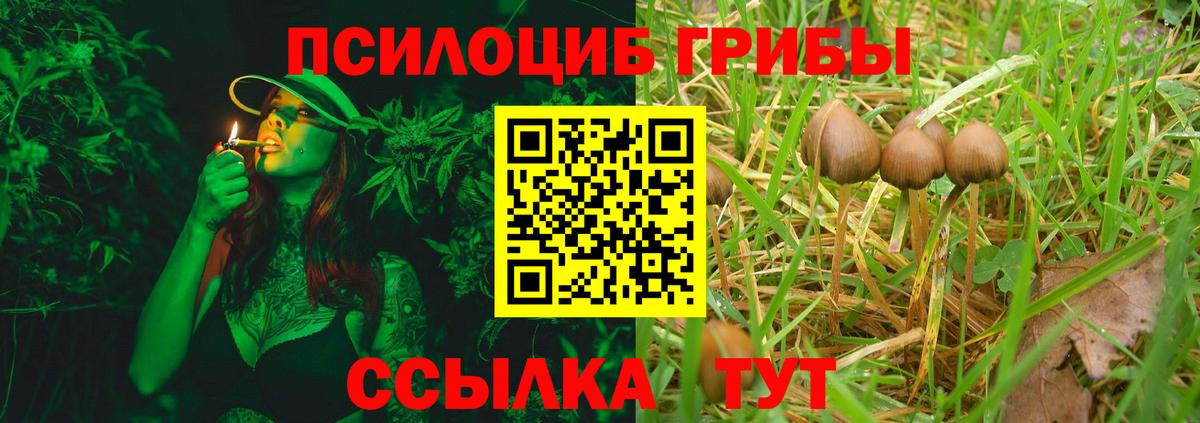 Дзержинск  Галлюциногенные грибы GOLDEN TEACHER  Вход с VPN 