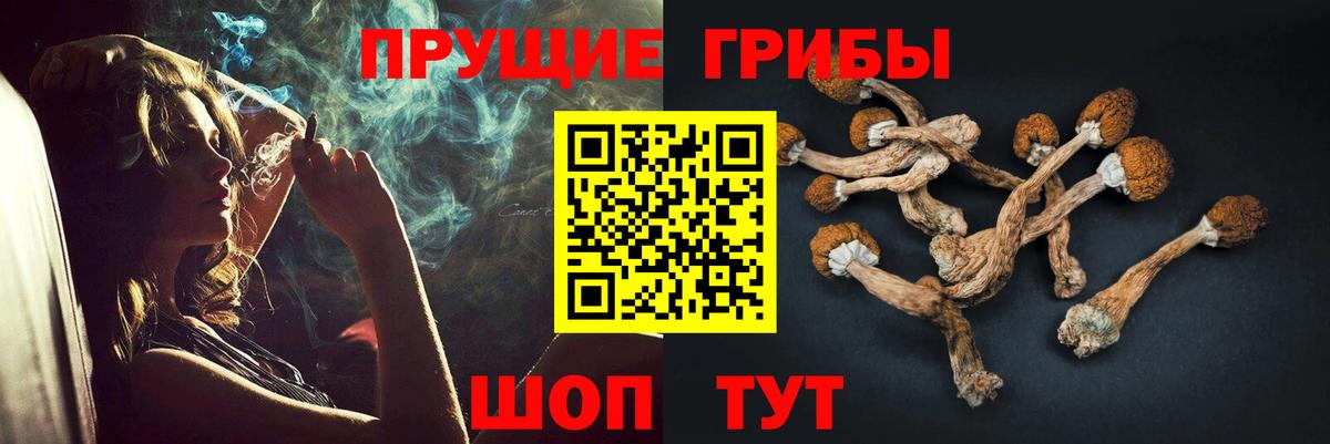 Галлюциногенные грибы Magic Shrooms Дзержинск